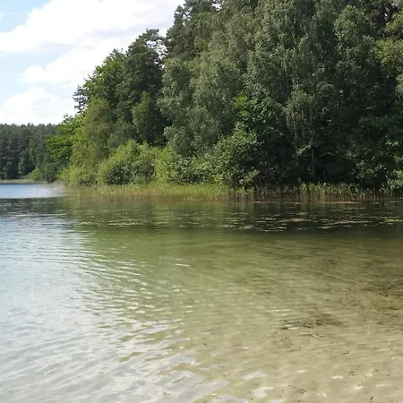 Hébergement de vacances Letniskowe Bory Tucholskie - Klimatyzacja Wifi Sauna Jacuzzi *