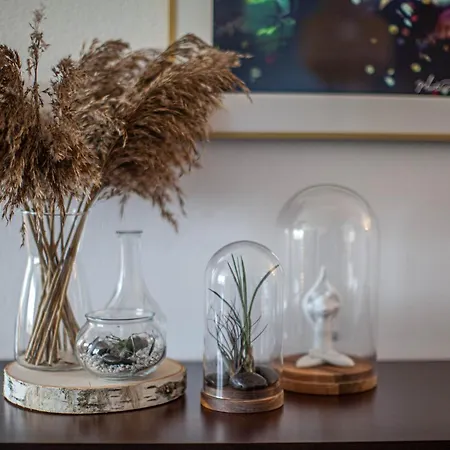 Hébergement de vacances Letniskowe Bory Tucholskie - Klimatyzacja Wifi Sauna Jacuzzi Mecikal