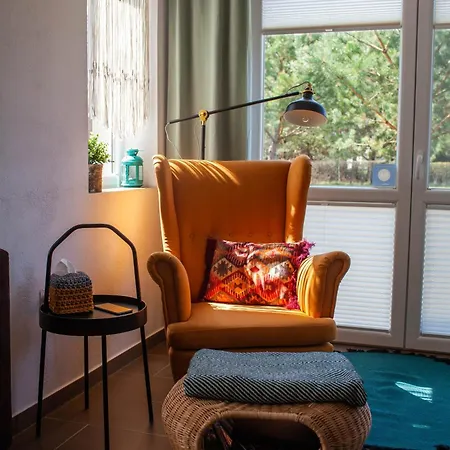 Letniskowe Bory Tucholskie - Klimatyzacja Wifi Sauna Jacuzzi Mecikal