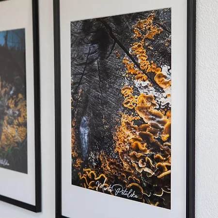 Hébergement de vacances Letniskowe Bory Tucholskie - Klimatyzacja Wifi Sauna Jacuzzi *