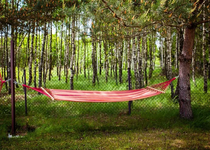 Feriehus Letniskowe Bory Tucholskie - Klimatyzacja Wifi Sauna Jacuzzi Mecikal