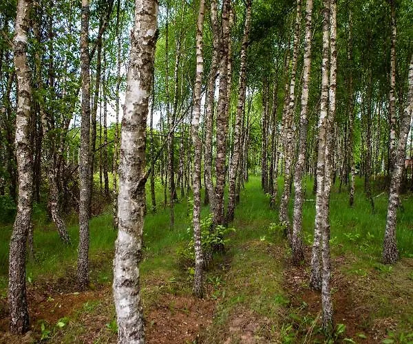 Feriehus Letniskowe Bory Tucholskie - Klimatyzacja Wifi Sauna Jacuzzi *