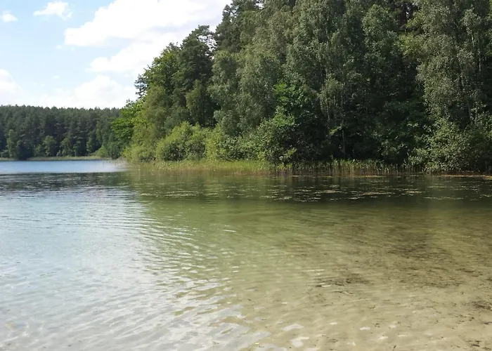 Feriehus Letniskowe Bory Tucholskie - Klimatyzacja Wifi Sauna Jacuzzi *